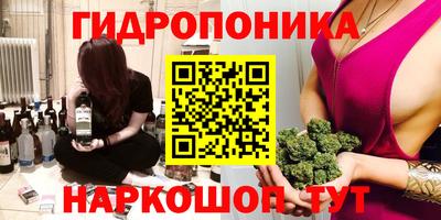ГАЛЛЮЦИНОГЕННЫЕ ГРИБЫ Боровичи