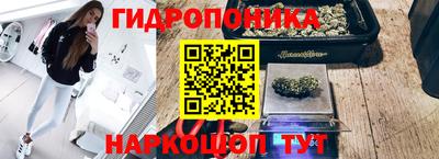 стаф Братск