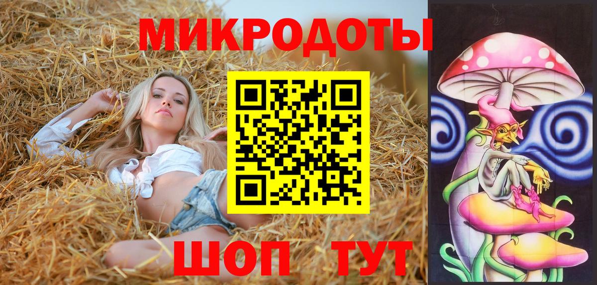 Боровичи  Галлюциногенные грибы Psilocybine cubensis  Вход с VPN 